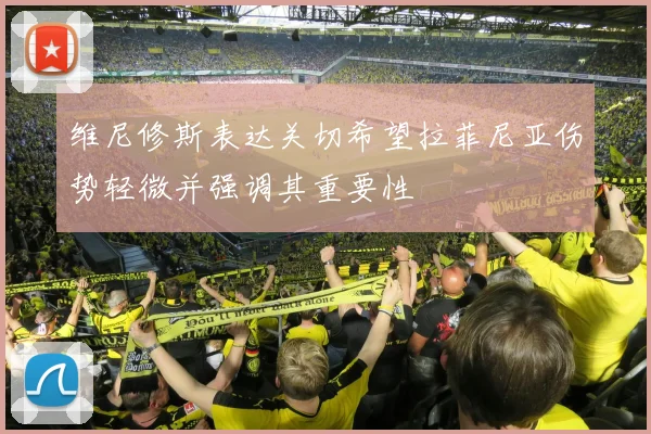 维尼修斯表达关切希望拉菲尼亚伤势轻微并强调其重要性