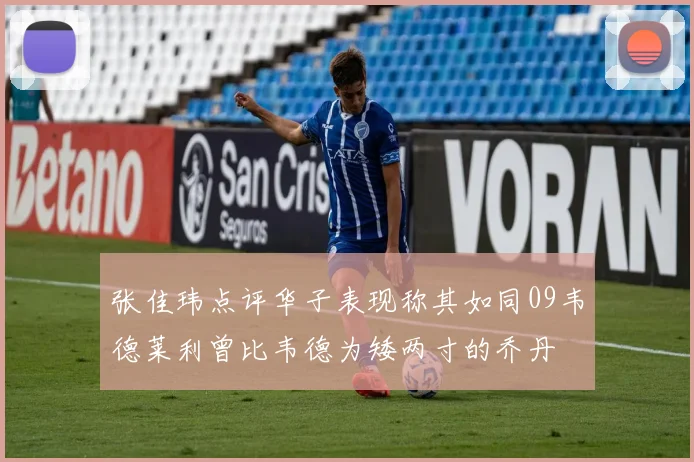 张佳玮点评华子表现称其如同09韦德莱利曾比韦德为矮两寸的乔丹